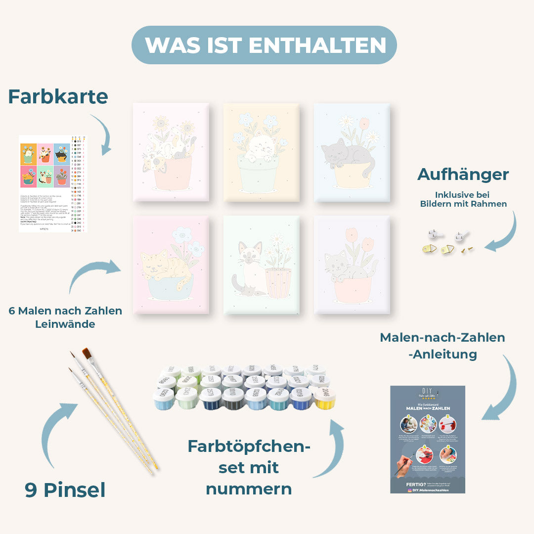 Katzen & Blumen