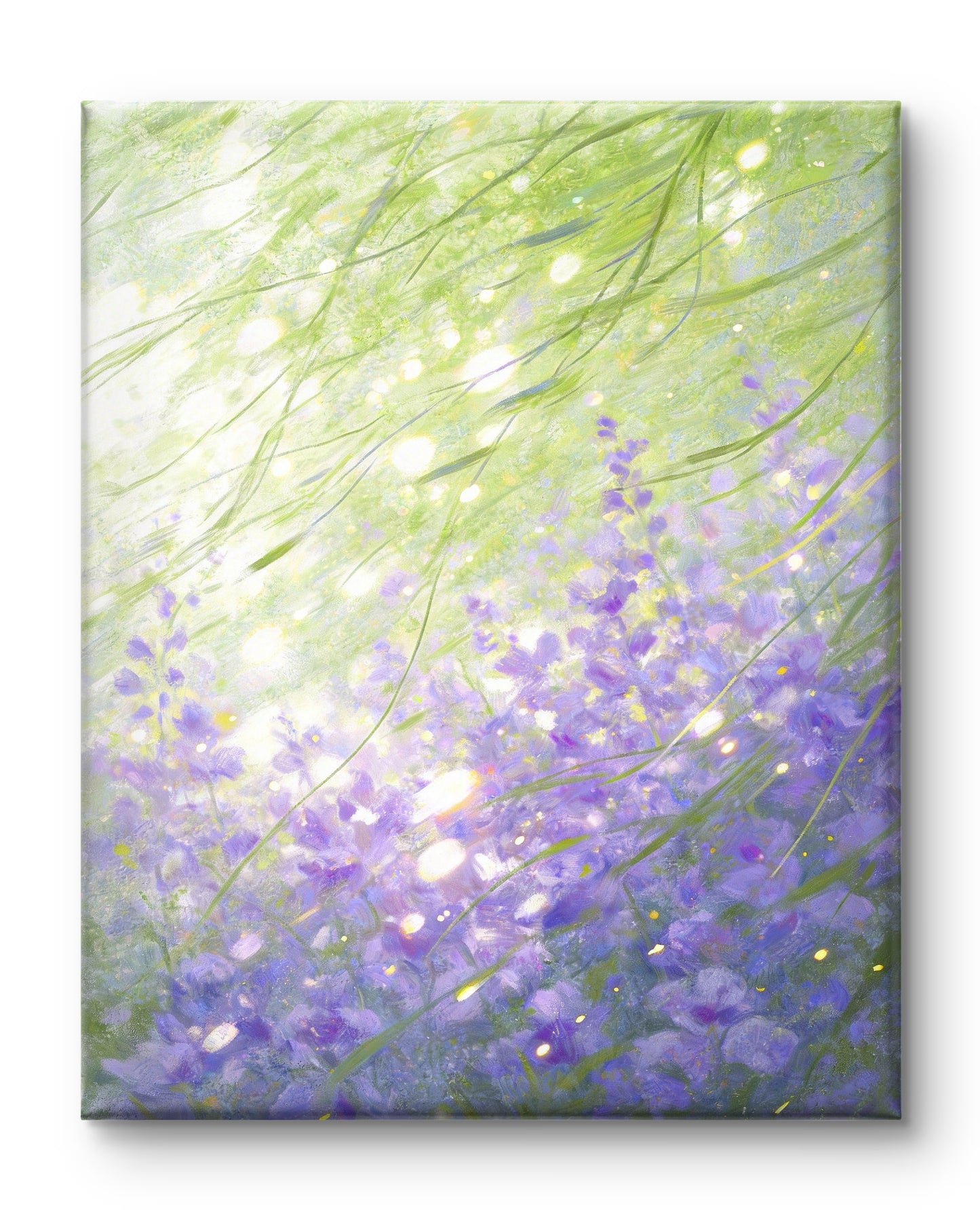 Frühlingslicht über Lavendel