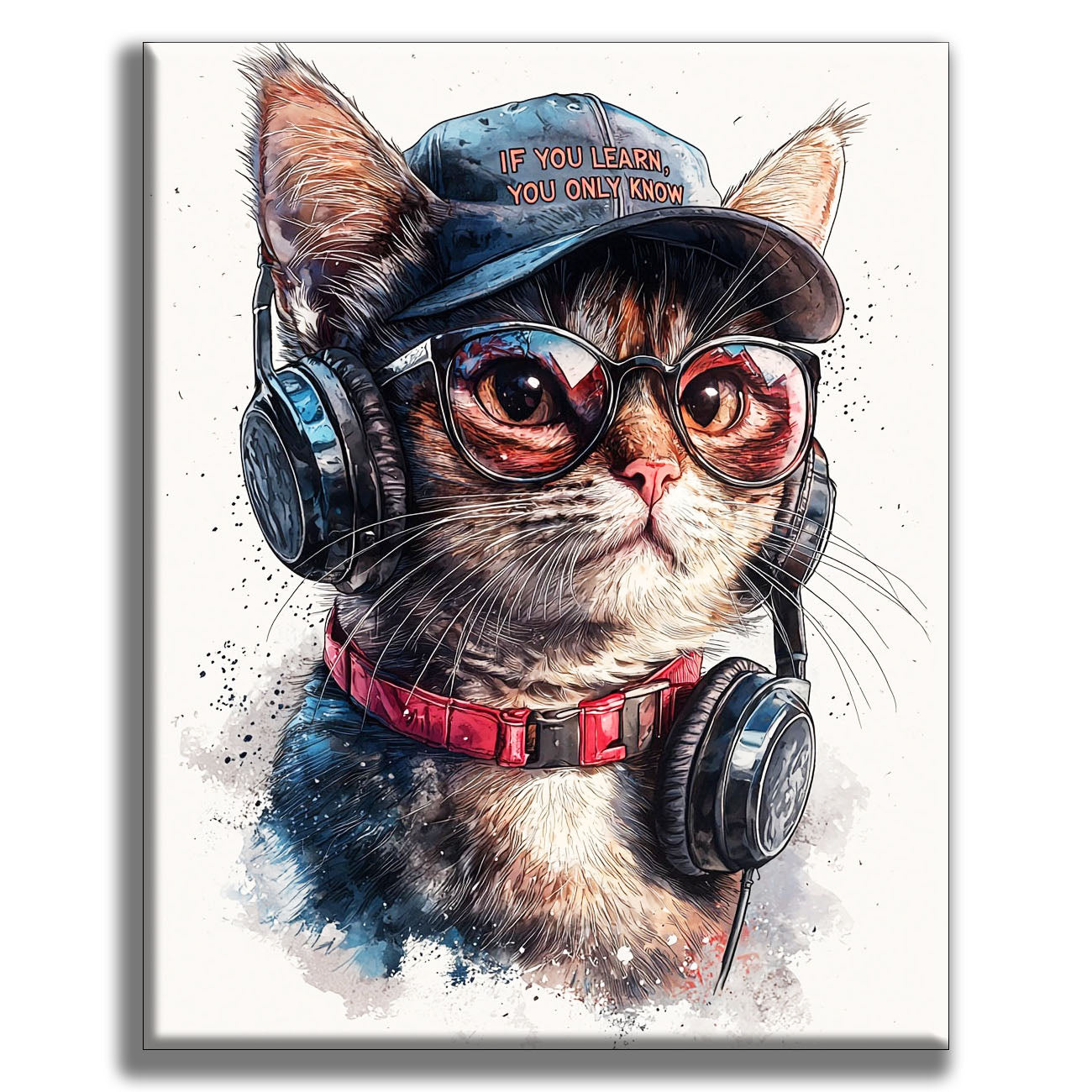 Hipsterkatze mit KopfhÃ¶rern - Malen nach Zahlen