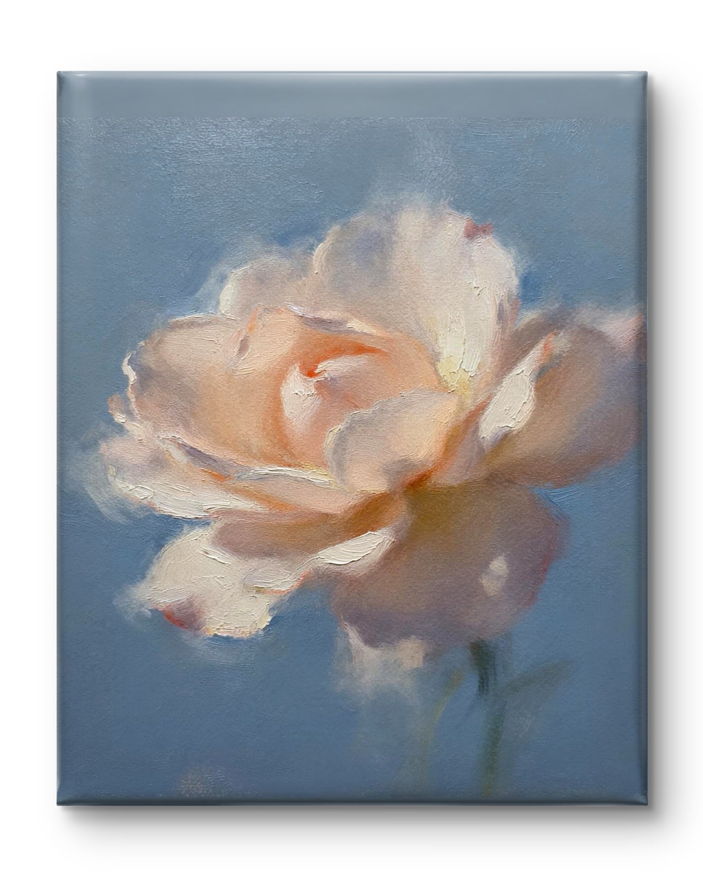 Rose im Dunst