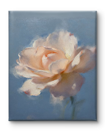 Rose im Dunst