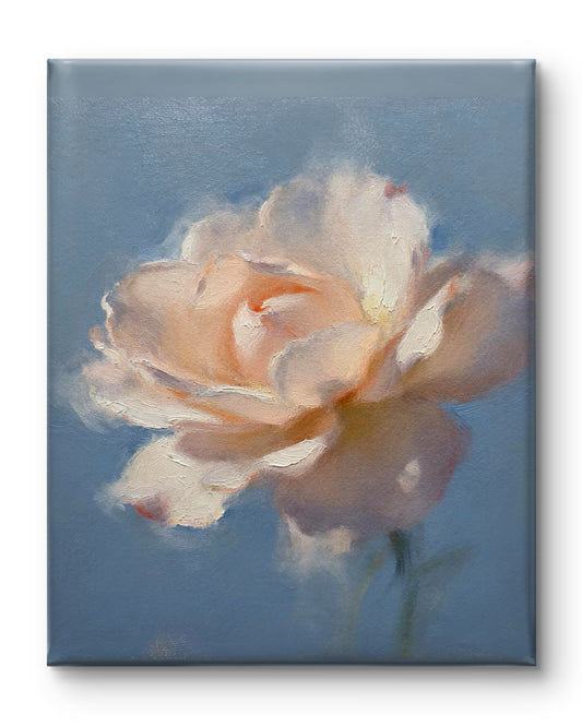 Rose im Dunst