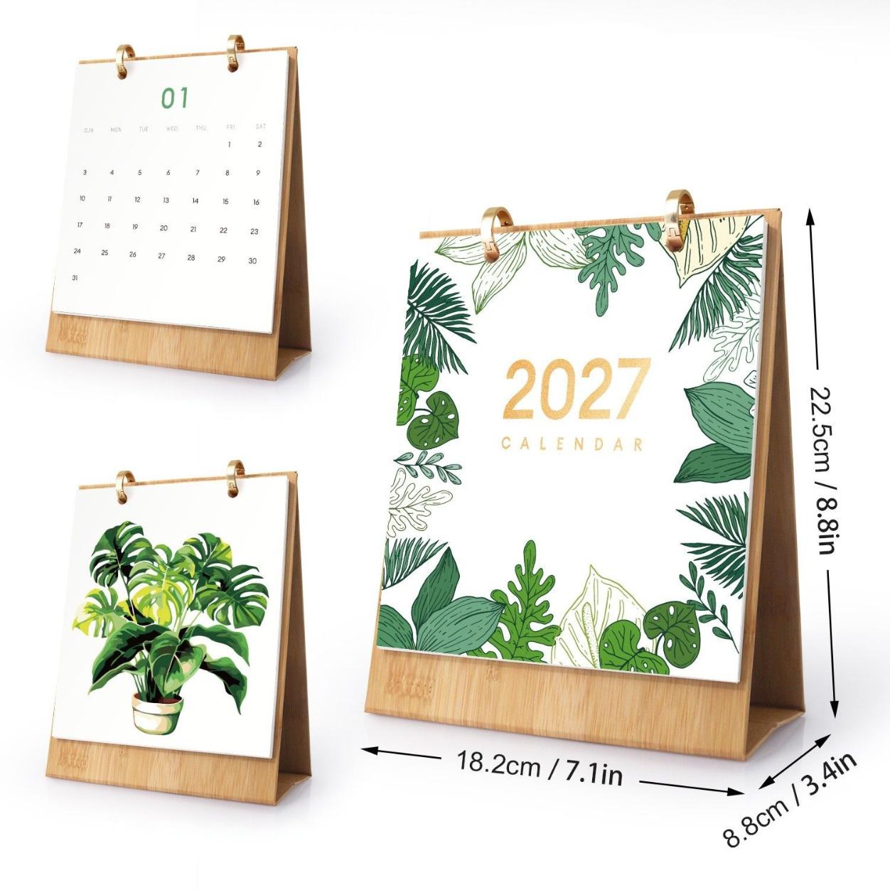 2027 Malen nach Zahlen Tischkalender | Pflanzen Edition