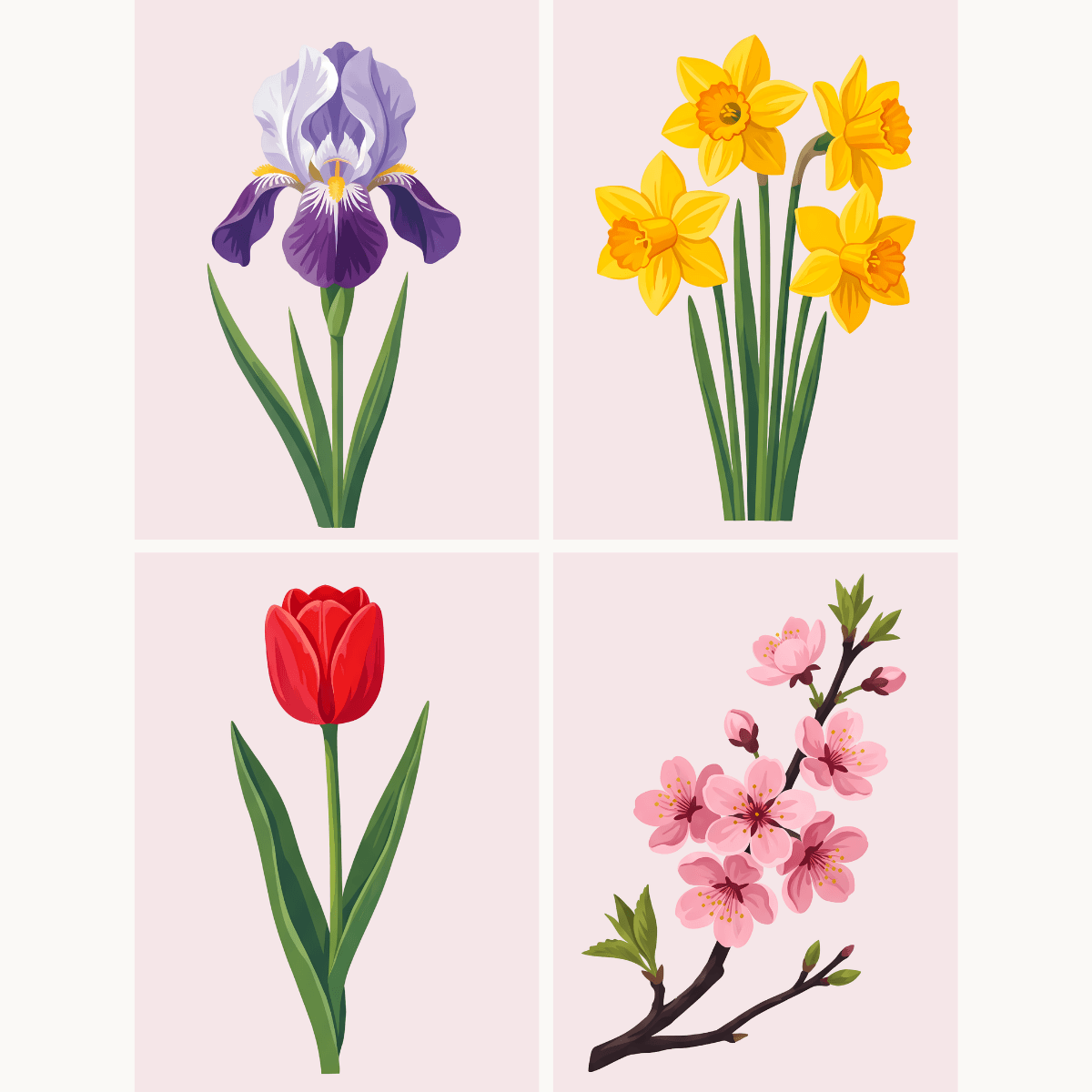 Frühlingsblüten – 4er Mini-Set | Malen nach Zahlen